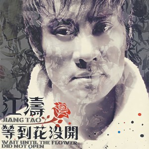 江涛 - 生日礼物