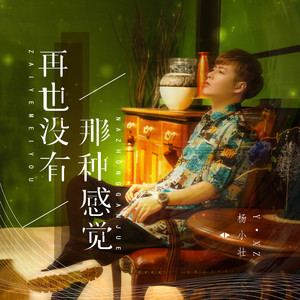 杨小壮 - 再也没有那种感觉