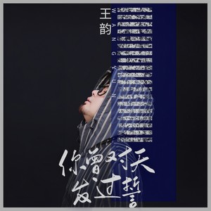 王韵 - 你曾对天发过誓 (DJ何鹏版)