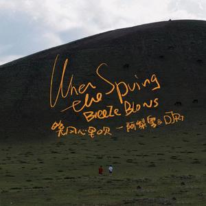 阿梨粤&R7 - 晚风心里吹 (DJ R7版)