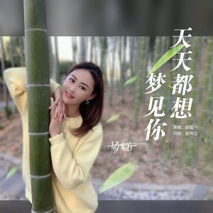 胡蜜丹 - 天天都想梦见你