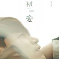 杨宗纬 - 这一路走来