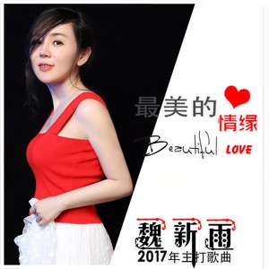 魏新雨 - 最美的情缘
