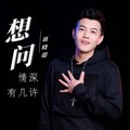 刘晓超 - 想问情深有几许 (DJ默涵版)