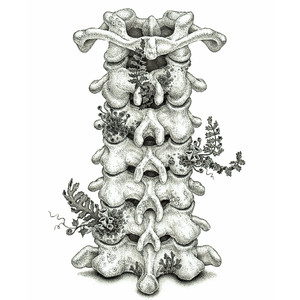 ヒグチアイ - いってらっしゃい