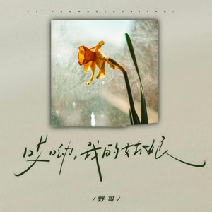 野哥 - 哎呦我的姑娘 (DJ豪大大版)