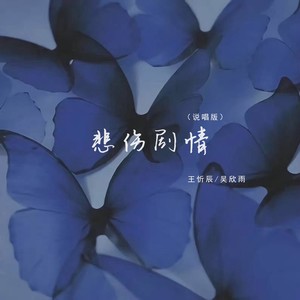 王忻辰&吴欣雨 - 悲伤剧情 (说唱版)