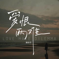 魏佳艺&范小松 - 爱恨两难 (DJ范小松版)