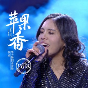 黑大婶回乡带娃 - 苹果香 (DJ沈念版)