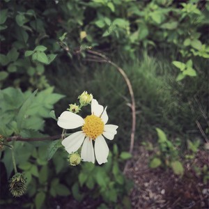 你一脸的任性&何咏欣 - 好喜欢你