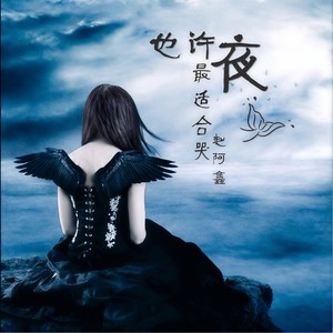 赵阿鑫 - 也许夜最适合哭