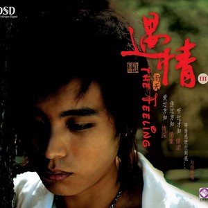 雨宗林 - 被爱伤过的人