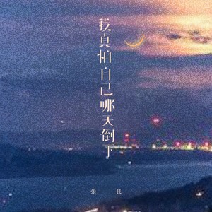 张良 - 我真怕自己哪天倒下 (烟嗓男版)