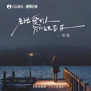 田园 - 先说爱的人为什么先离开