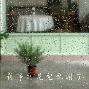 子辉吉他 - 我等到花儿也谢了 (迷失的歌)