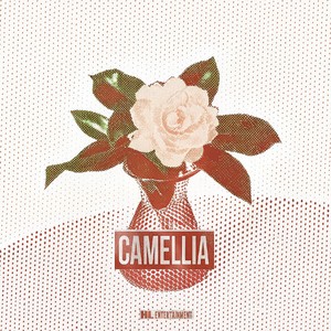 王睿卓&加木 - 茶花开了，该回家了 (《茶花开了》说唱版)