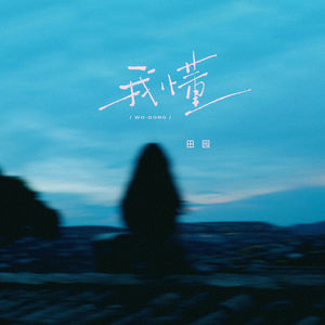 田园 - 我懂