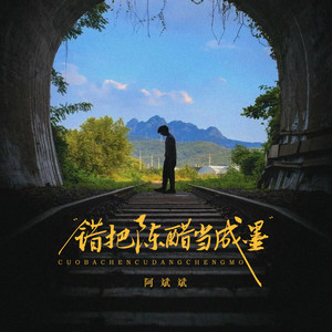 阿斌斌 - 错把陈醋当成墨