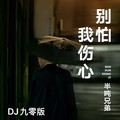 半吨兄弟 - 别怕我伤心 (DJ九零版)