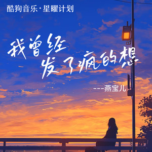 燕宝儿 - 我曾经发了疯的想