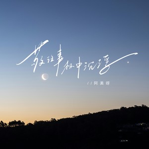 阿美呀 - 敬往事杯中沉浮 (我敬苍天酒一壶)