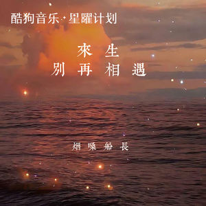烟嗓船长 - 来生别再相遇
