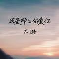大潞 - 我是那么的爱你