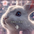 SomeLove - 多情的生肖兔 (兔子来了）