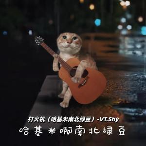 VT.Shy - 打火机 (哈基米南北绿豆)