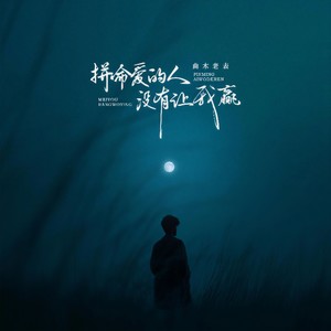 曲木老表 - 拼命爱的人没有让我赢