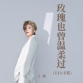 王娜 - 玫瑰也曾温柔过 (DJ九零版)