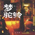 大头针 - 梦驼铃（攀登高峰望故乡）