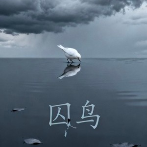 大头针 Official - 囚鸟