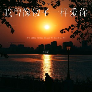 任夏 - 我曾像傻子一样爱你