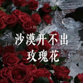 刘书云 - 沙漠开不出玫瑰花