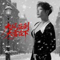 魏佳艺 - 大风在刮大雪在下