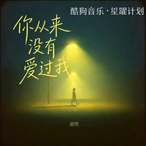 励明 - 你从来没有爱过我 (男声版)