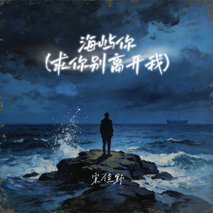 宋佳野 - 海屿你 (求你别离开我)
