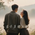林栖 - 若不是因为你 (深情版)