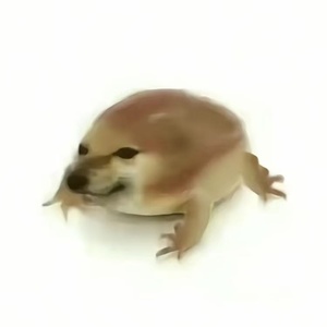 暴躁小猪 - 我的刀盾