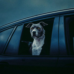 Chris Lorenzo&Kah-Lo - In This Bih'