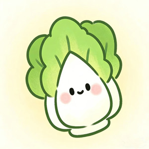 DJ小念 - 白菜对我笑 (DJ加速版)