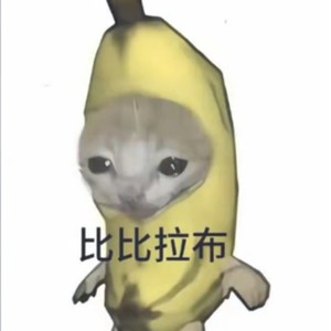 秃头少女 - 比比拉布+我的刀盾 (混搭DJ)