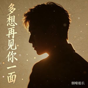 烟嗓船长 - 多想再见你一面