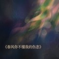 铃小花 - 春风你不懂我的伤悲