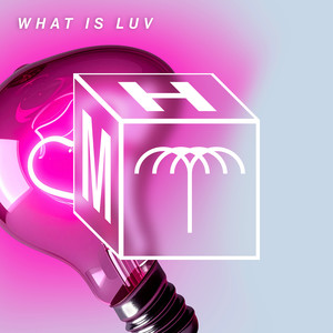 Mita Gami&Rafael - What Is Luv (Extended Mix)