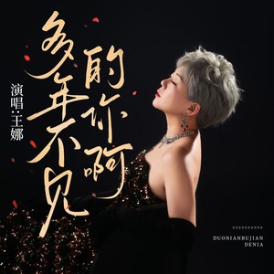 陈子夜&王娜 - 多年不见的你啊