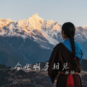 林栖 - 今生啊多相见 (深情版)