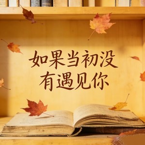 铃小花 - 如果当初没有遇见你