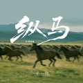 王一佳 - 纵马 (DJ阿尼版)